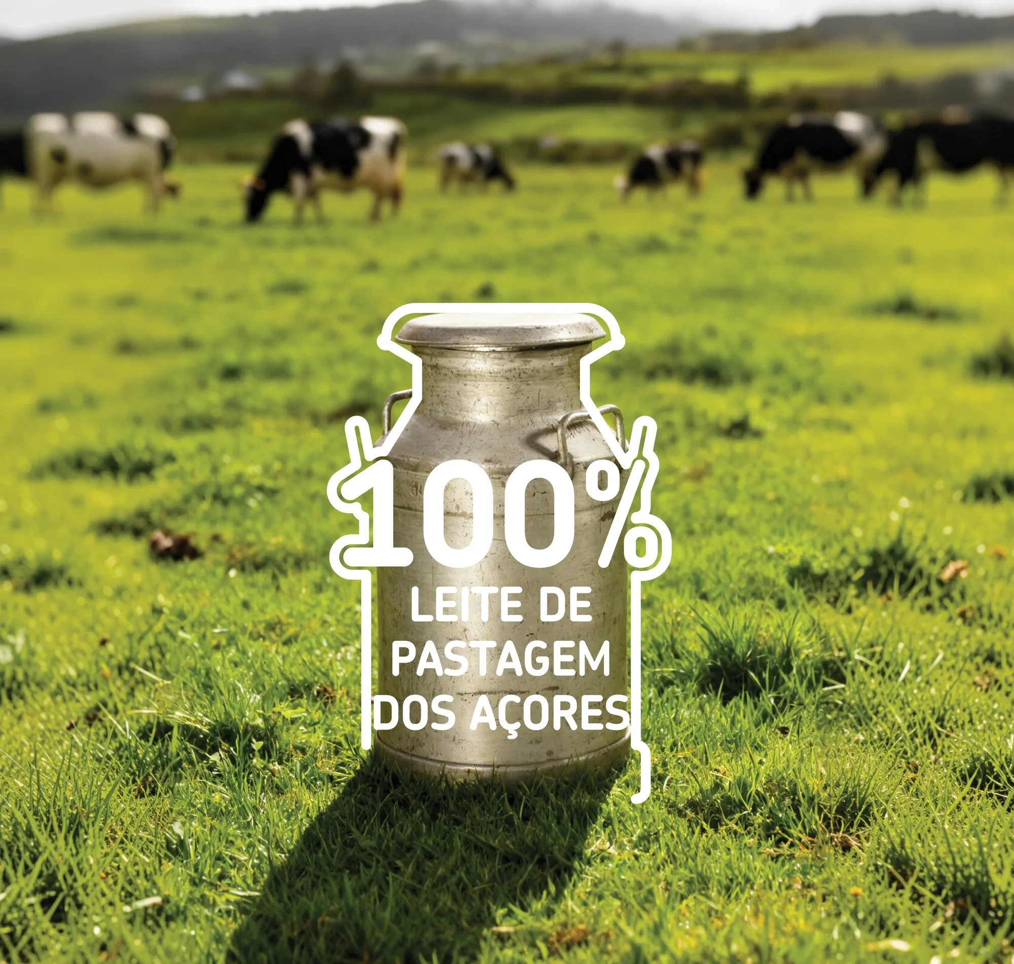 Lata de leite numa pastagem açoriana com vacas ao fundo — 100% leite de pastagem dos Açores